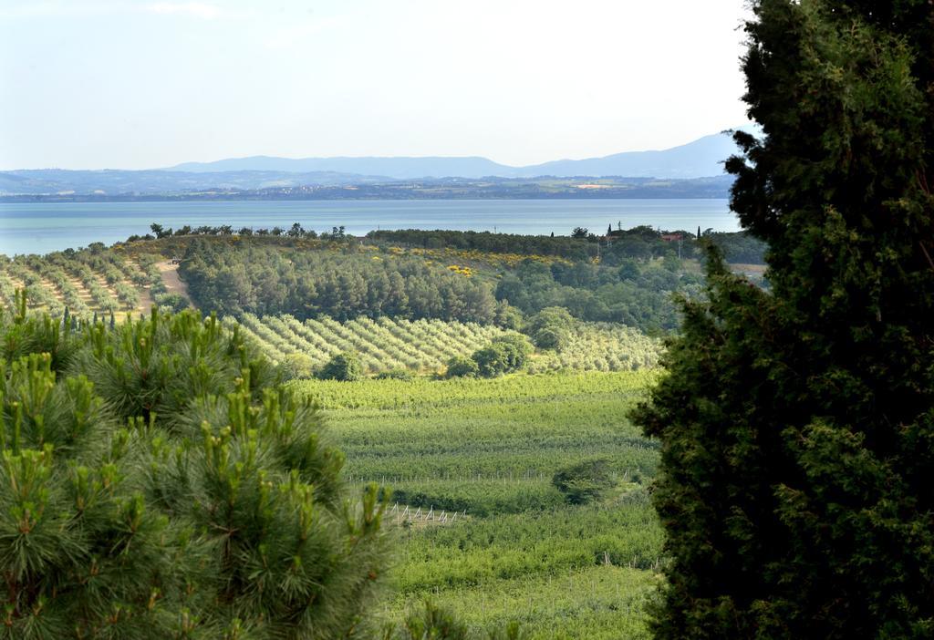 Agriturismo San Severo Passignano sul Trasimeno Luaran gambar